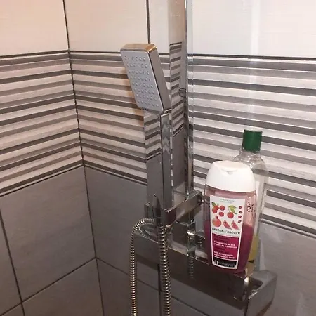 Le Grey-jardin Des Plantes-centre Des Congres * Angers