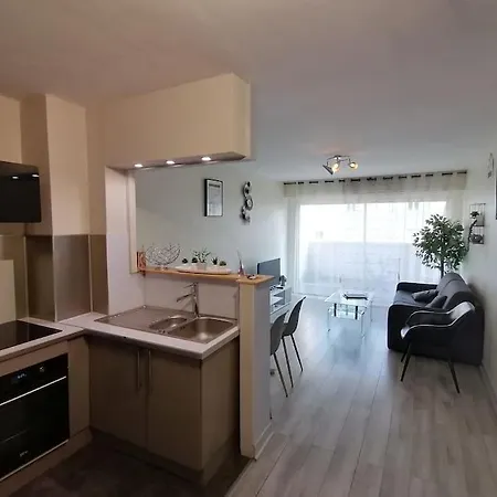 Le Grey-jardin Des Plantes-centre Des Congres Apartamento Angers