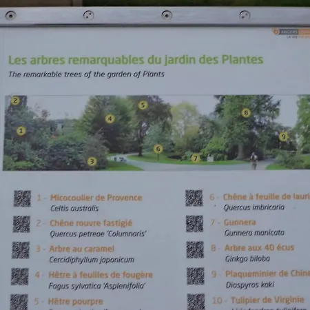 Apartment Le Grey-jardin Des Plantes-centre Des Congres *