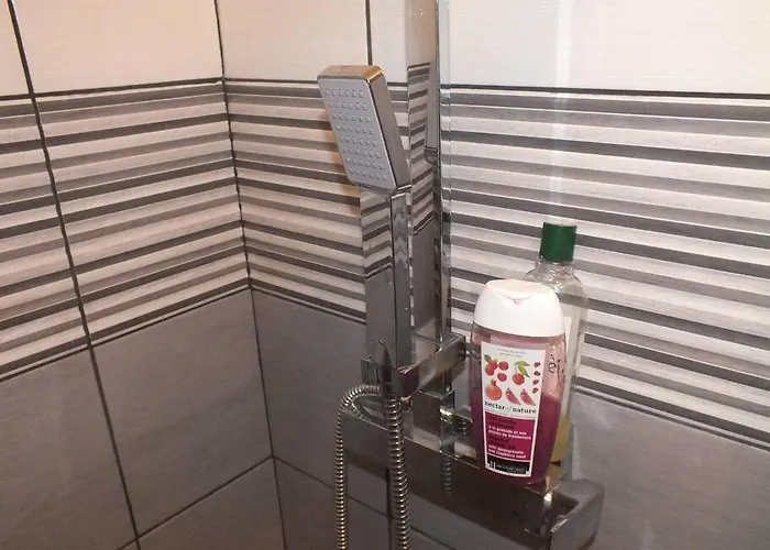 Le Grey-jardin Des Plantes-centre Des Congres * Angers