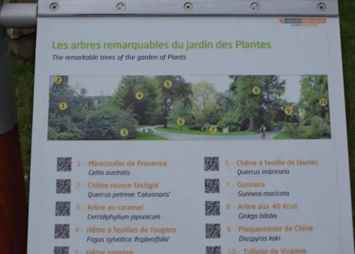 Daire Le Grey-jardin Des Plantes-centre Des Congres *